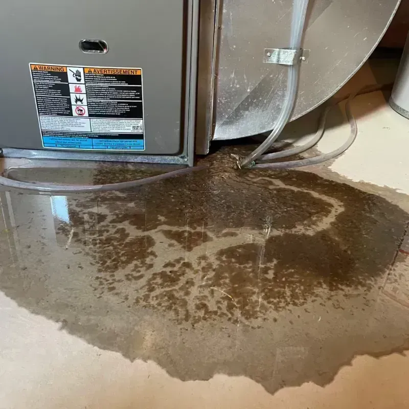 Appliance Leak Cleanup in Morgan County, KY